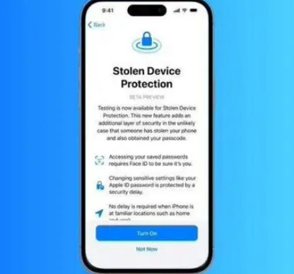 松阳苹果授权维修店分享被盗设备保护功能开启方法 
