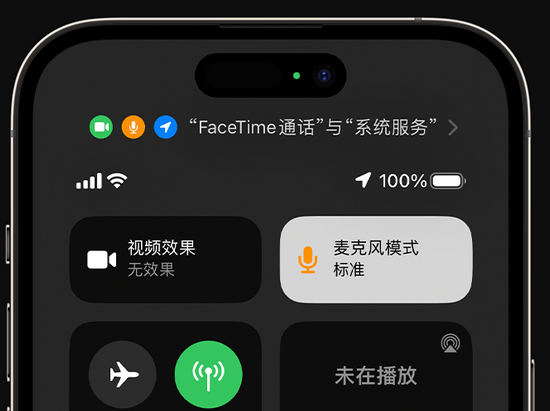 松阳苹果授权维修网点分享iPhone在通话时让你的声音更清晰 