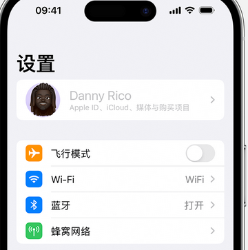 松阳appleID维修服务iPhone设置中Apple ID显示为灰色无法使用