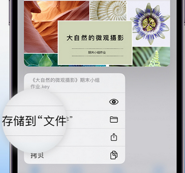 松阳apple维修中心分享iPhone文件应用中存储和找到下载文件