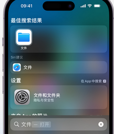 松阳apple维修中心分享iPhone文件应用中存储和找到下载文件 