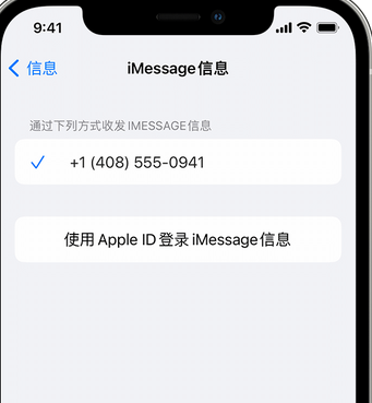 松阳apple维修iPhone上无法正常发送iMessage信息 