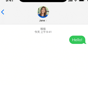 松阳apple维修iPhone上无法正常发送iMessage信息