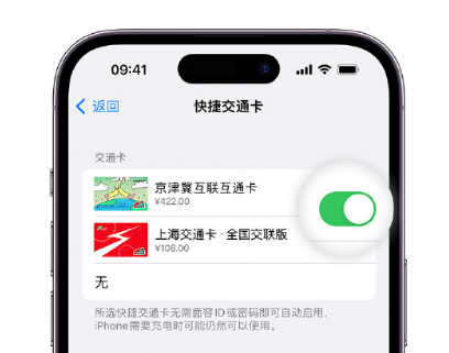 松阳apple维修点分享iPhone上更换Apple Pay快捷交通卡手绘卡面 