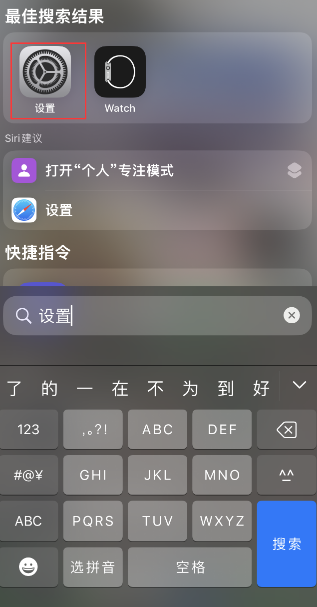 松阳苹果手机维修分享：iPhone 找不到“设置”或“App Store”怎么办？ 