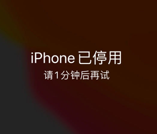 松阳苹果手机维修分享:iPhone 显示“不可用”或“已停用”怎么办？还能保留数据吗？ 