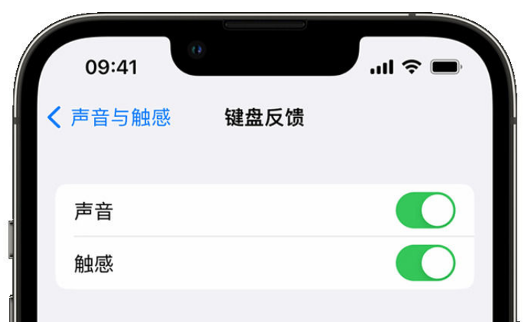 松阳苹果手机维修分享iPhone 14触感键盘使用方法 