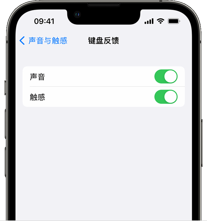 松阳苹果14维修店分享如何在 iPhone 14 机型中使用触感键盘 