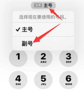 松阳苹果14维修店分享iPhone 14 Pro Max使用副卡打电话的方法 