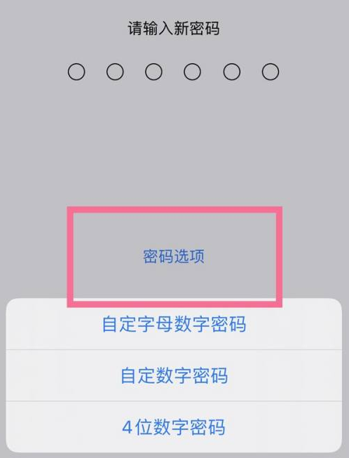 松阳苹果14维修分享iPhone 14plus设置密码的方法 