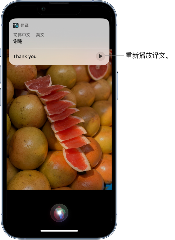 松阳苹果14维修分享 iPhone 14 机型中使用 Siri：了解 Siri 能帮你做什么 