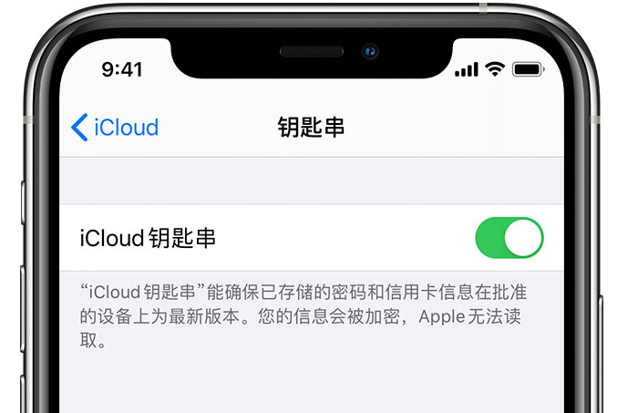 松阳苹果手机维修分享在 iPhone 上开启 iCloud 钥匙串之后会储存哪些信息 