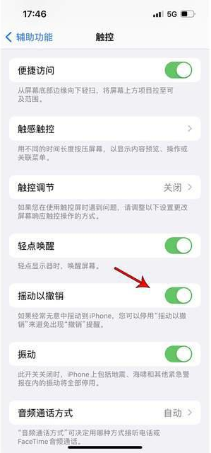 松阳苹果手机维修分享iPhone手机如何设置摇一摇删除文字 