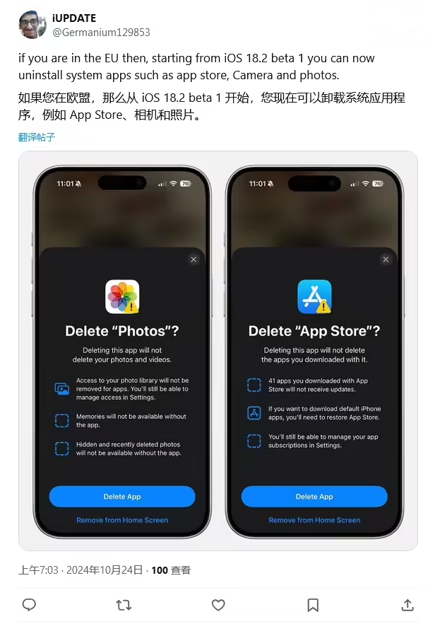 松阳苹果手机维修分享iOS 18.2 支持删除 App Store 应用商店 